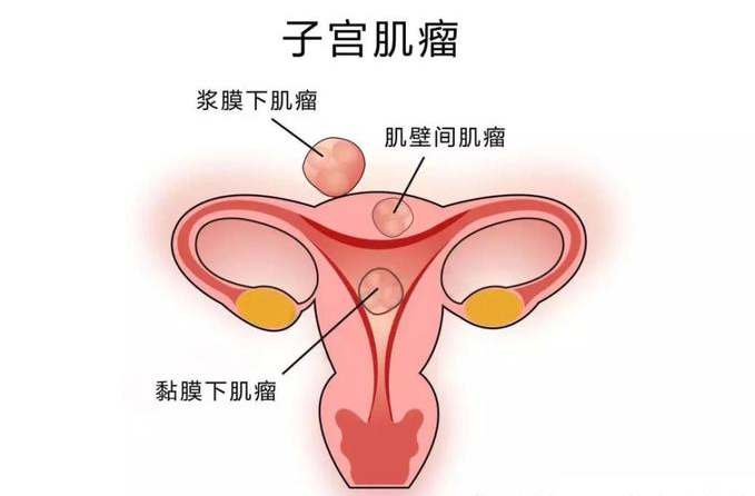 Screenshot 2022-11-03 at 16-37-52 雄彙集團有(yǒu)限公司-管理(lǐ)後台.png